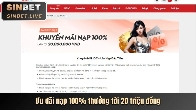 Hình ảnh minh họa khuyến mãi hấp dẫn